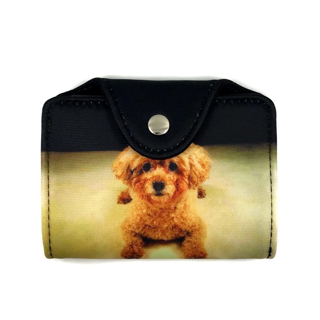 Card case, Poodle