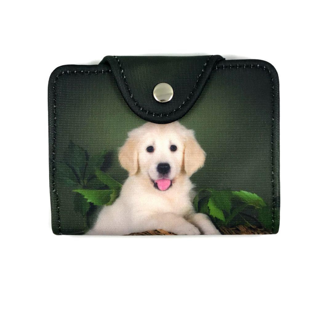 Card case, Golden Retriever