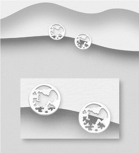 Silver stud earrings, World's Map earrings