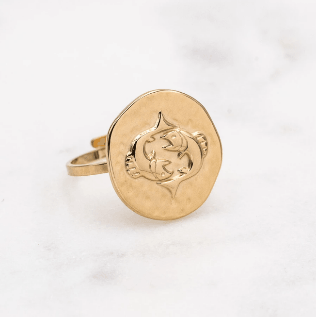 Surgical steel ring, Astro Collection horoscope jewelry