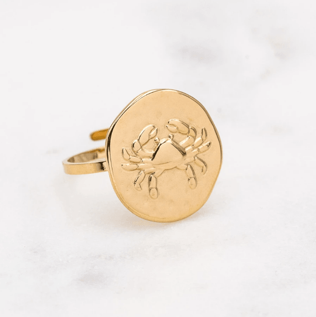 Surgical steel ring, Astro Collection horoscope jewelry