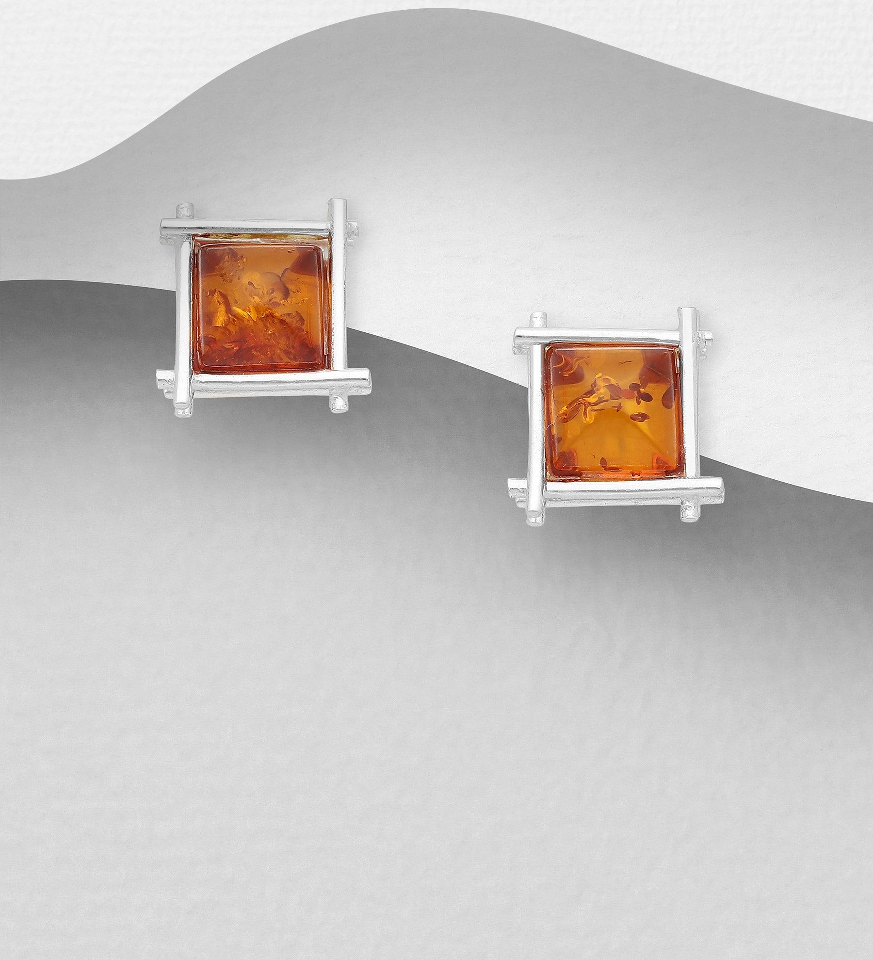 PREMIUM COLLECTION|Minea silver amber stud earrings