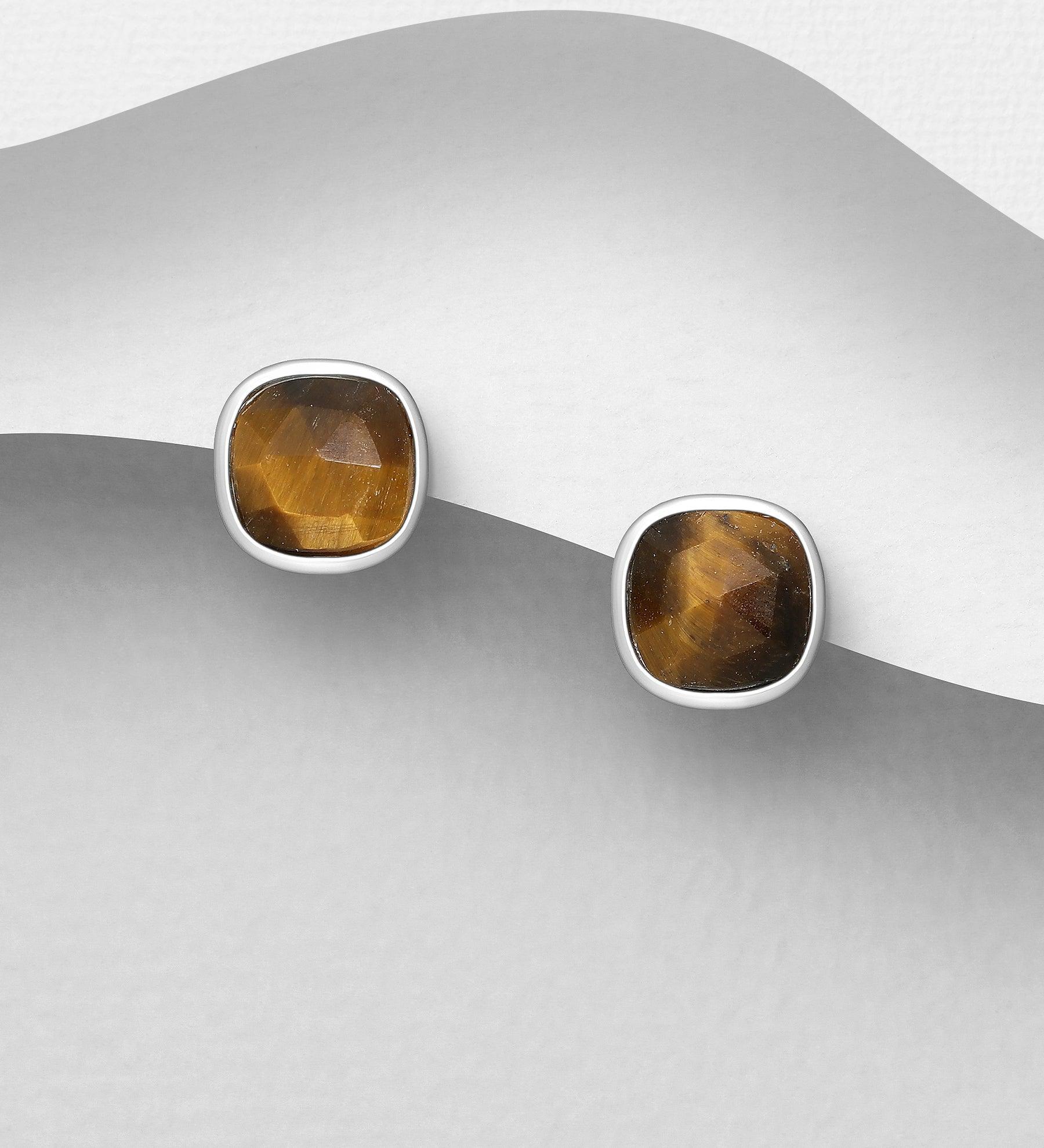 PREMIUM COLLECTION|Isla silver tiger eye stud earrings