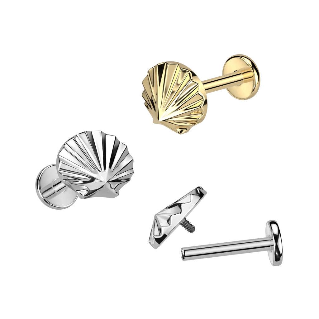 Cartilage jewelry/tragus jewelry, Sea Shell Top Labret in Gold - titanium labret