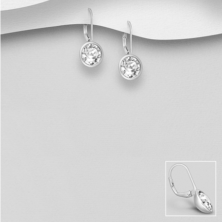 PREMIUM COLLECTION|Novalie round silver clear earrings